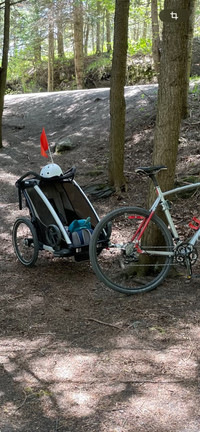 Chariot 1 place Thule Lite