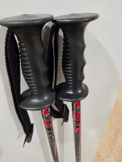 Ski / Hiking Poles – Like New – Montreal Bell Centre Pickup, View more