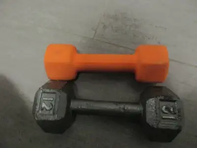 for sale one 8 lbs weight plus one 12 lbs weight $5 dollars for the 8 lbs orange one and $10 for the...