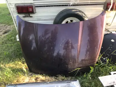 Selling a purple vehicle hood. Pick up near morinville . Please call 825-977-7001.