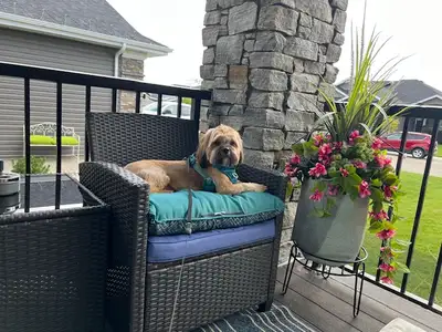 Outdoor patio set, View more