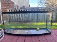 75 Gallon Bowfront Aquarium and Stand