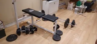 Je vends mon entier gym de maison. Comprends: -Banc de musculation avec exercices pour les jambes (l...