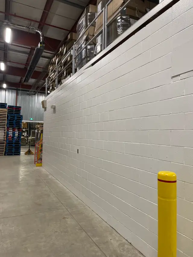 professional painter65561328280961122