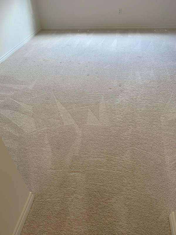 Deep Carpet Cleaning in GTA - 647-928-4296 in Cleaners & Cleaning in Oshawa / Durham Region - Image 4