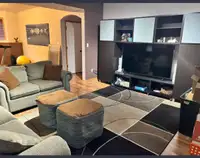 Living / family room furniture 