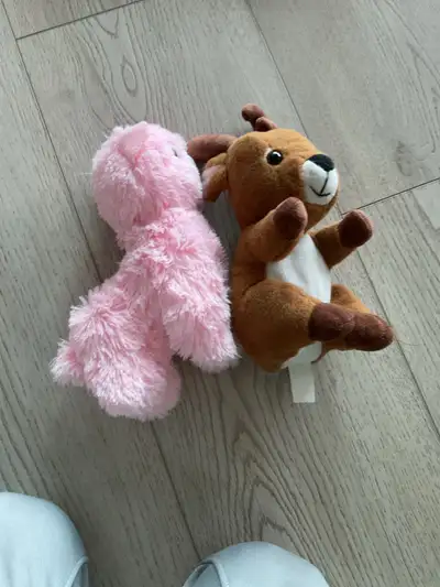  Two teddy bears, View more