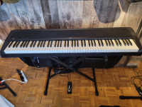 piano Krog clavier musicien instrument