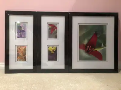 3pcs Picture and Wooden Frame Portrait, View more