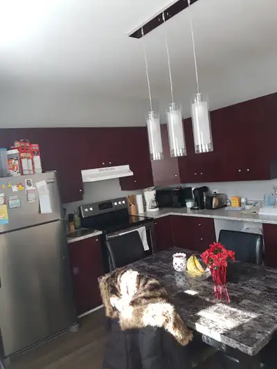 4 ½  Rénové style condo. 2212 Ave. Georges-V, Montréal-Est