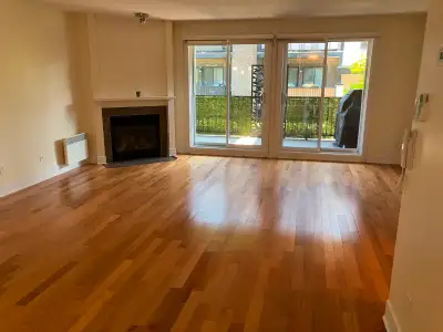 Condo 4 1/2 à louer – Secteur « C » à Brossard
