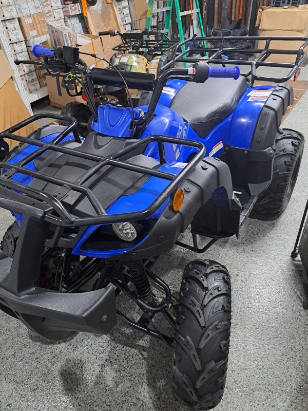 200cc quad used under 15 hours 2x4 4 strokes used at lake w gra