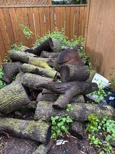 Free wood to donate will help to put into your trailer/pick up. Call or text 343 263- eight four eig...