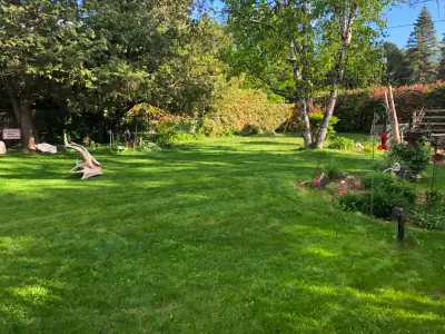 Declan's Lawn Care – Residential & Commercial Property Service, View more