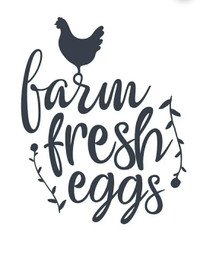 Large Farm Fresh Eggs for sale! $5 per dozen 