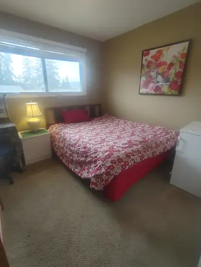 Room for rent in quiet house in quiet neighbourhood for full time student or professional. Rent incl...