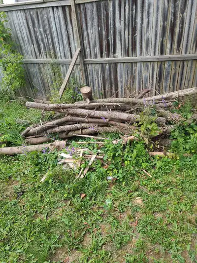 free fire wood, View more