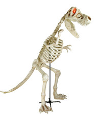 Halloween T-Rex Skeleton 9 feet !