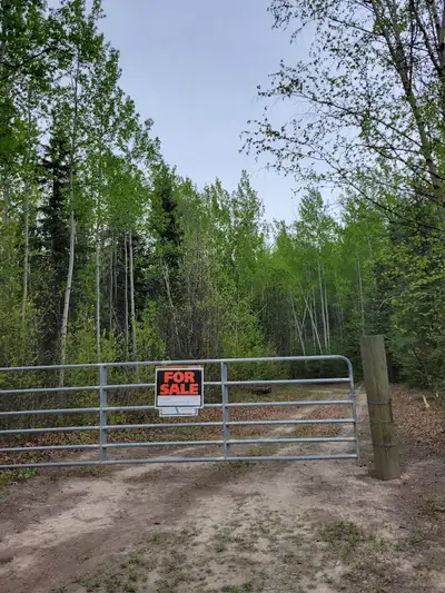 107 rolling acres on the south shore Simon Bay on Fraser Lake. 150 feet of lakefront on Fraser Lake....