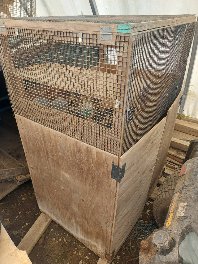 Rabbit, Chick Cage with Storage in Livestock in Hamilton