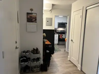 Subleasing this beautiful 1 bedroom apartment just off of Willett/dunbrack. It comes with a balcony,...