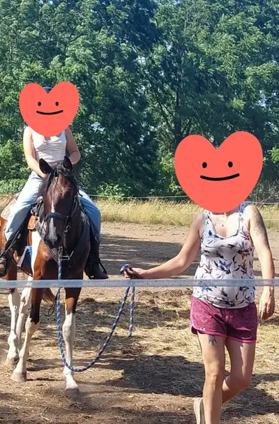 Flashy 3 year old athletic purebred bay tobiano paint gelding, View more