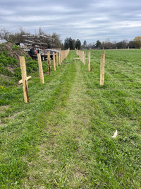 Agricultural farm fence post pounding 