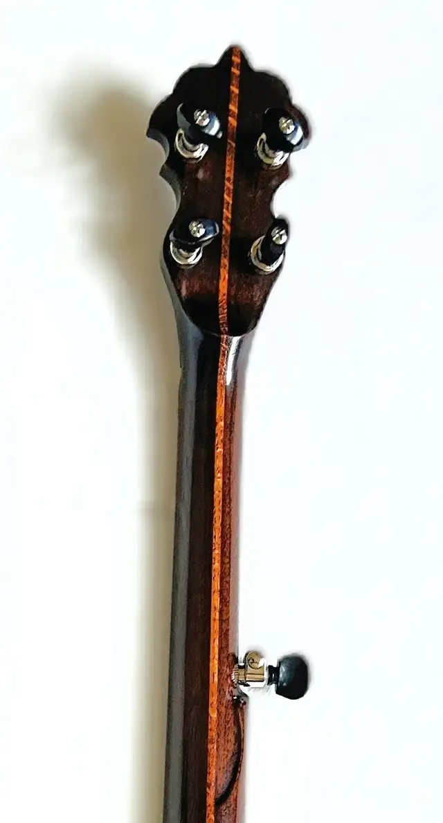 Canadian made 5 String Openback Banjo | Guitars | Winnipeg | Free local ...