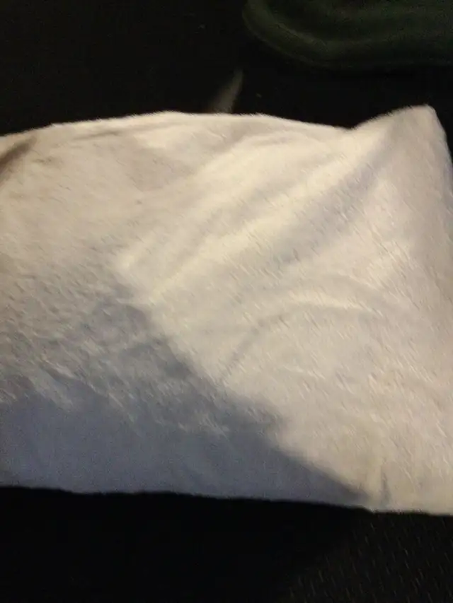 Queen Mattress Protector in Bedding in Kingston - Image 3