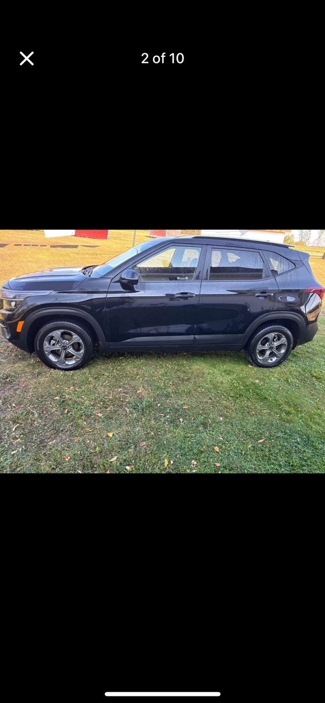 Kia Seltos in Cars & Trucks in Edmonton - Image 2