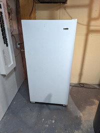 5' Standing Freezer