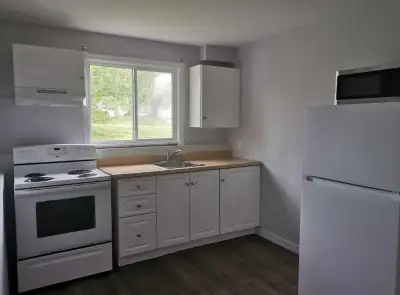 Spacious 1-bedroom suite in Dartmouth available immediately