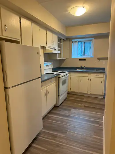 1 bedroom lower suite available August 1st