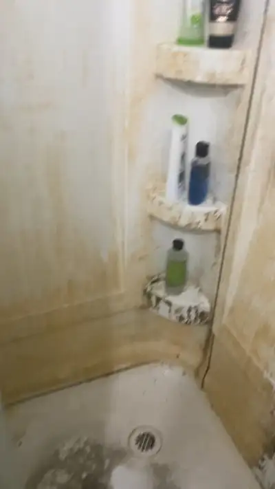 Cleaning Lady |  Downtown  | Toronto | Scarborough | Markham, View more