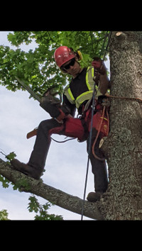 Offering Arborist, roofing and Heavy Equipment