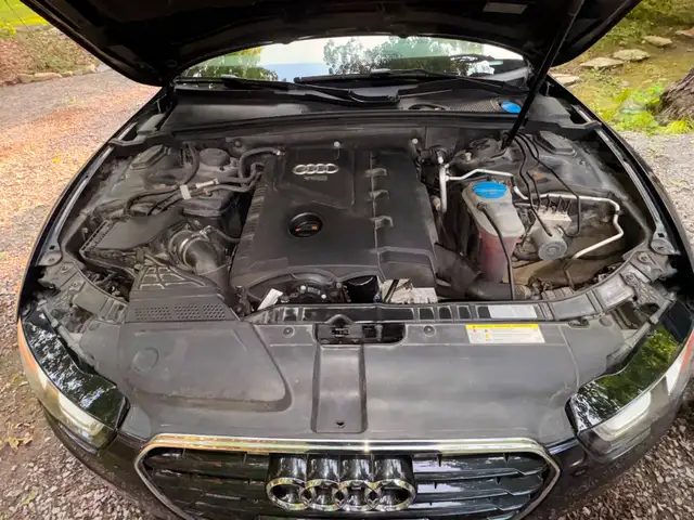 2013 Audi A5526667030609930244