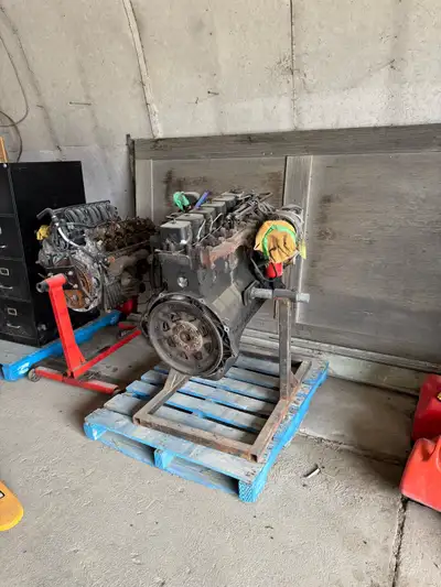 12 Valve VE pump 280,000 when pulled Also have a used P pump injection pump for additional $1200