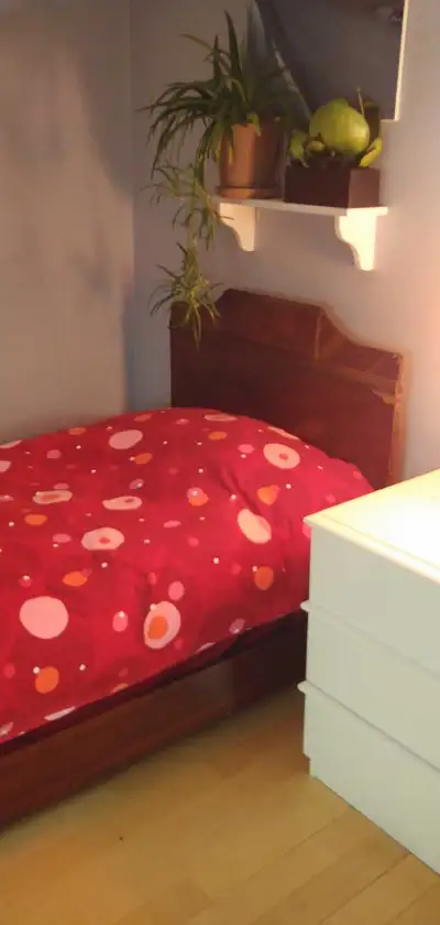 Lit simple ANTIQUE incluant matelas, sommier, couvre-matelas +++, View more