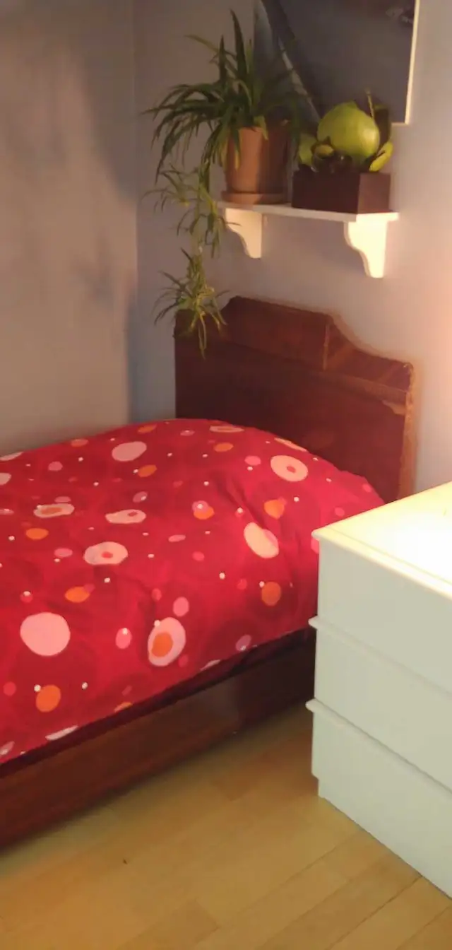 Lit simple ANTIQUE incluant matelas, sommier, couvre-matelas +++ in Beds & Mattresses in City of Montréal - Image 2