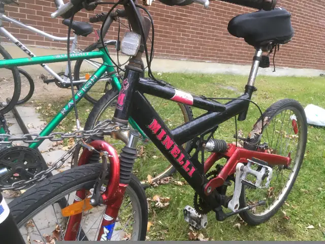 Minelli  Zoom bycicle in Kids in Longueuil / South Shore - Image 3