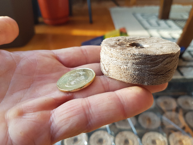 Plateau à semis pour 36 grosses pastilles de mousse de tourbe dans Plantes, engrais et terreaux  à Trois-Rivières - Image 4