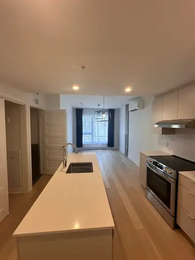 3 ½ à louer – Plateau Mont-Royal – Disponible 1er juillet ou juin Beau 3 ½ situé au cœur du Plateau...
