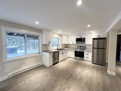 1 bedroom, 1 bathroom newly renovated basement suite with bonus storage room available to rent in Si...