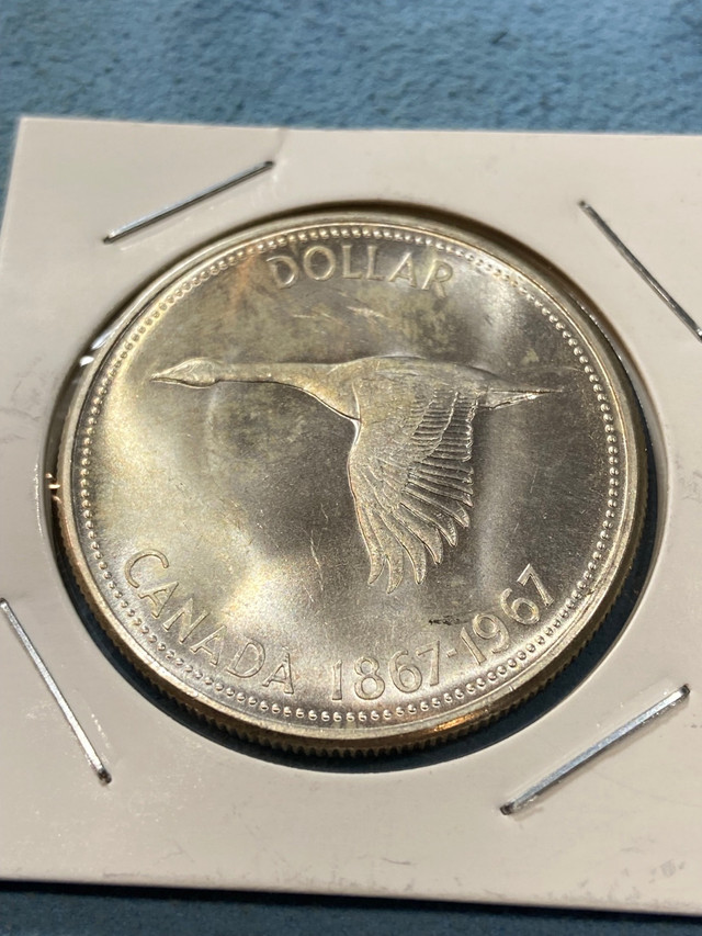 Canada silver dollar  in Arts & Collectibles in Mississauga / Peel Region