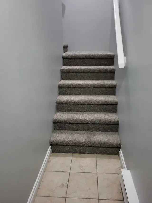 professional carpet supply and install63013091141251124