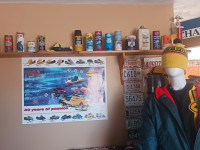 Wanted  looking for vintage skidoo snowmobile  signs etc