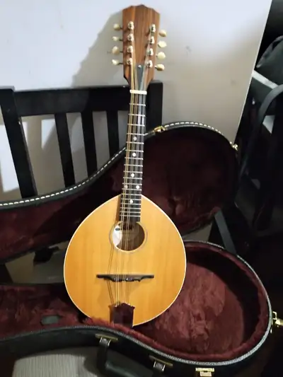 mandolin, sawchyn beaver tail, View more