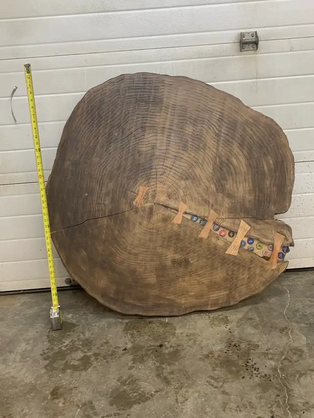 oak slabs  in Other in Owen Sound - Image 2