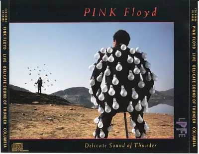 Pink Floyd -- Delicate Sound Of Thunder (2 x CD)   * CD/Disque, View more
