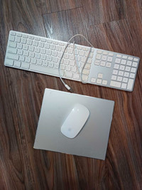 Original Apple keyboard and mouse